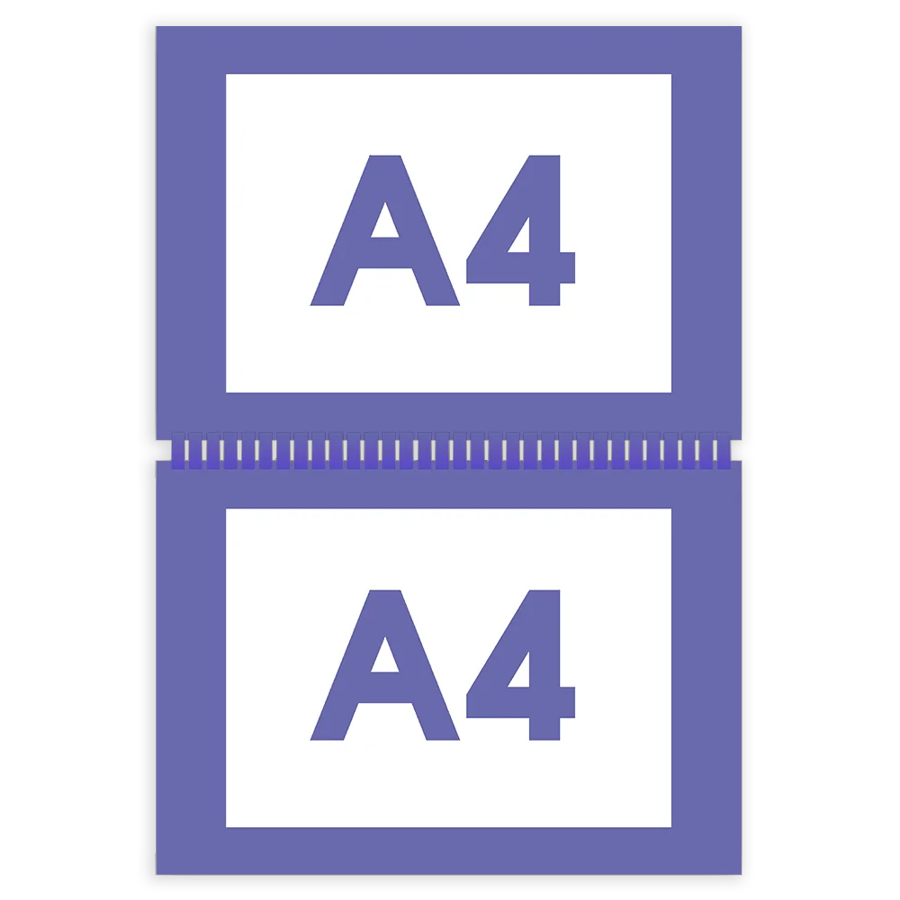 A3